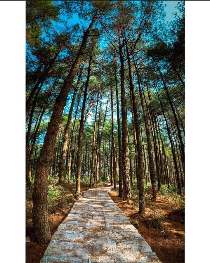 Bojinee Nagarkot Resort Exterior foto